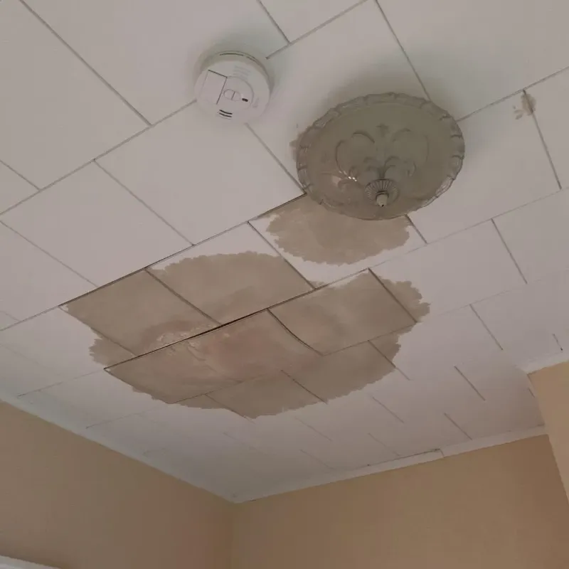 Ceiling Water Damage Repair in Farmington, MI