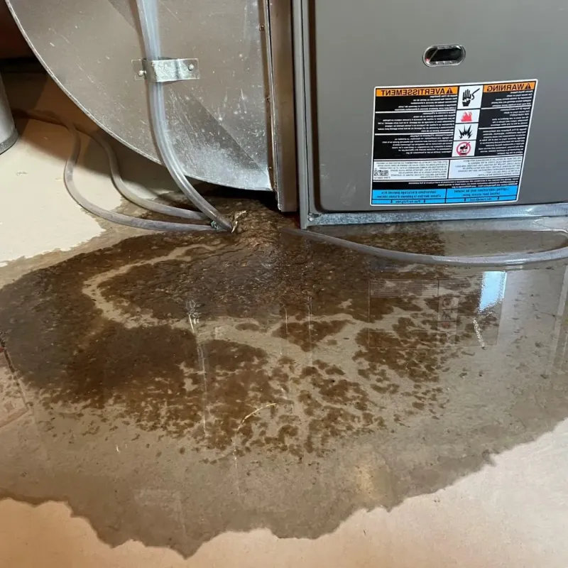 Pipe Burst and Leak Restoration in Farmington, MI